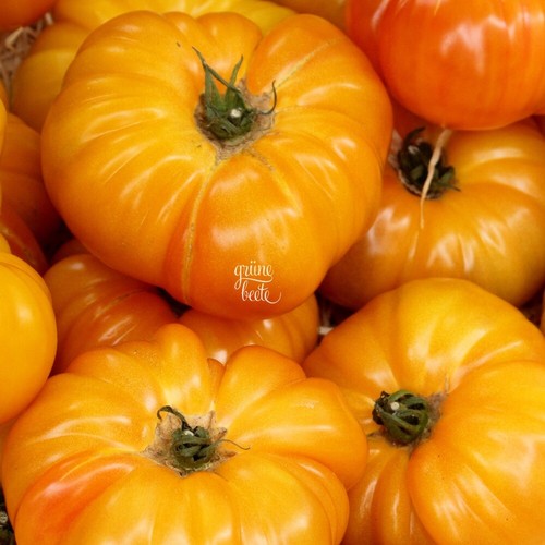 Tomate summer cider - cider, 10