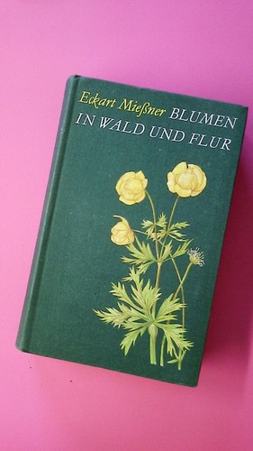 156951 eckart miessner - 156951, blumen