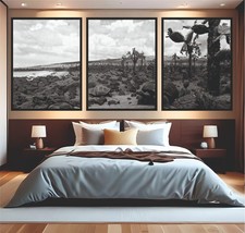 Hiroshi sugimoto galapagos - sugimoto,