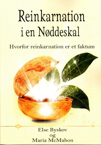 Reinkarnation nøddeskal - reinkarnation,