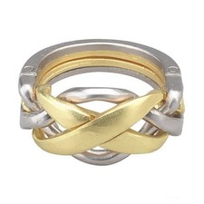 Hanayama Cast Puzzle RING -