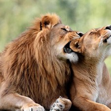 2ÜN Hotelgutschein Leipzig Sachsen | Kurzurlaub für 2 3*S Hotel + Zoo Reise Deal