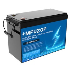 24V 100AH LiFePO4 Lithium Batterie 2560Wh 15,000+ Zyklu BMS Solarbatterie Boot