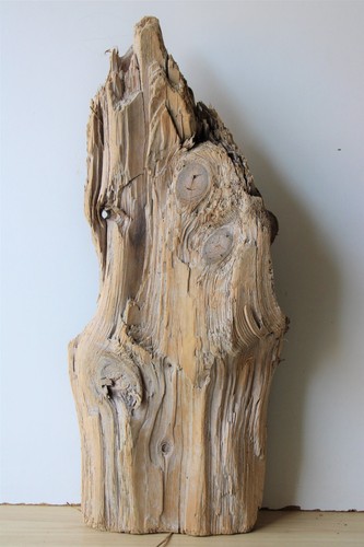 Treibholz schwemmholz - treibholz,