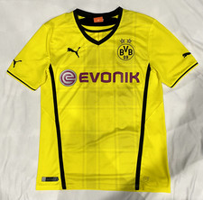 BVB 09 Dortmund 2013-14 Home