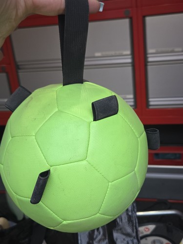 Spielball für pferde fun - spielball, play