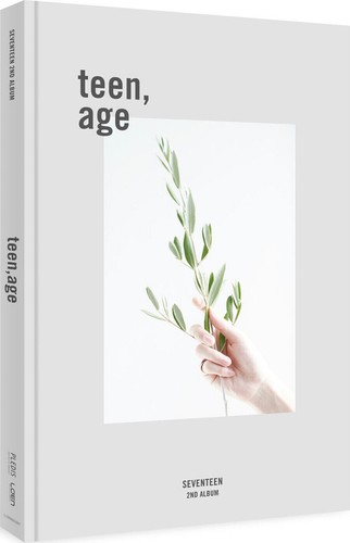Seventeen teen age 2nd - age],