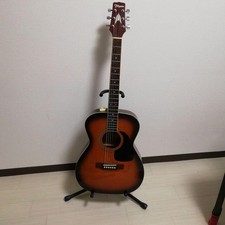 Takamine T-F1/BS