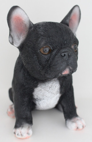Französische bulldogge - französische,