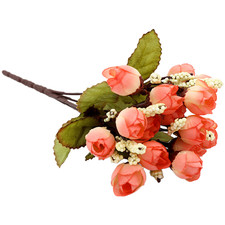 22 cm Sternknospe Rosen