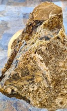 Großstufe versteinertes Holz Kieselholz Hohenzell Schlüchtern Hessen Mineralien