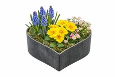 20cm pflanzschale herzform - 20cm,