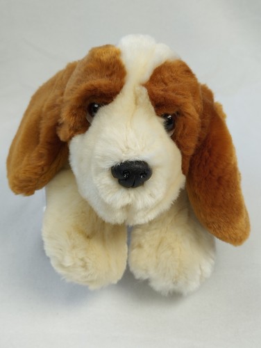 Hund basset hound welpe - hund,