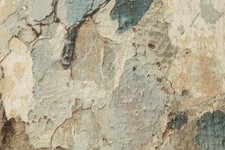 TAPETENBUCH