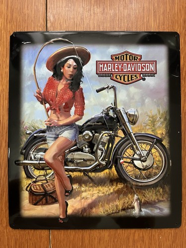 Harley davidson motor - harley-davidson,
