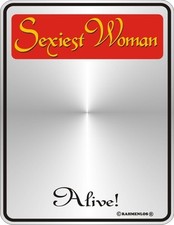 Spiegelschild Schild Sexiest