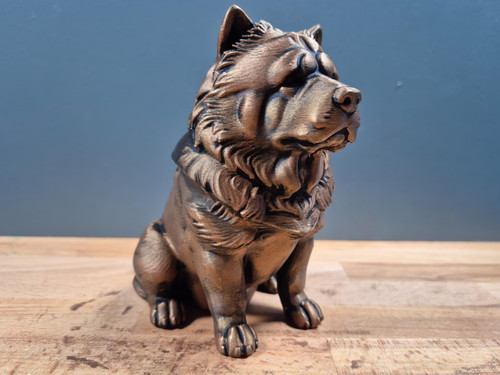 Chow markante - chow-chow, –