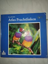 Atlas Prachtfinken   Horst