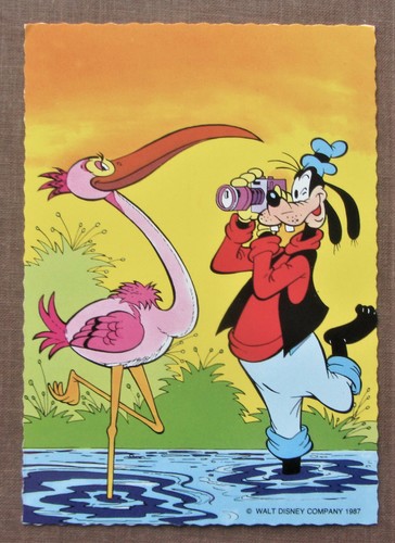 Goofy fotografiert flamingo - goofy,