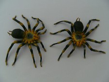 Spinne spinnen gummispinne - spinne,