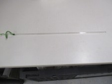 Glas Orchideenstab Blumenstab Blumenhalter 43cm