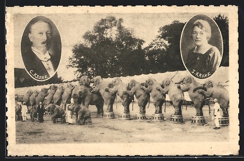 Zirkus krone elephantenshow - krone,,