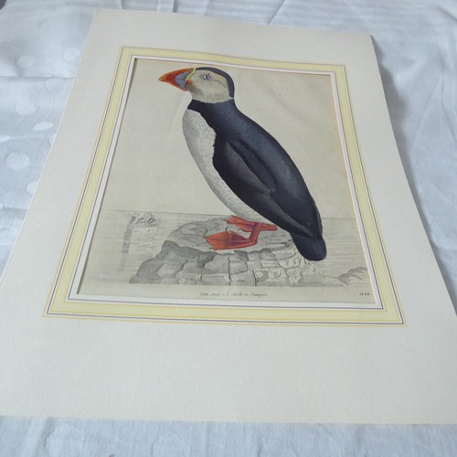 Antik lithografie - antik,