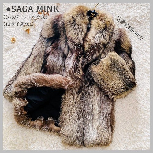 Saga fox silberfuchs - saga,