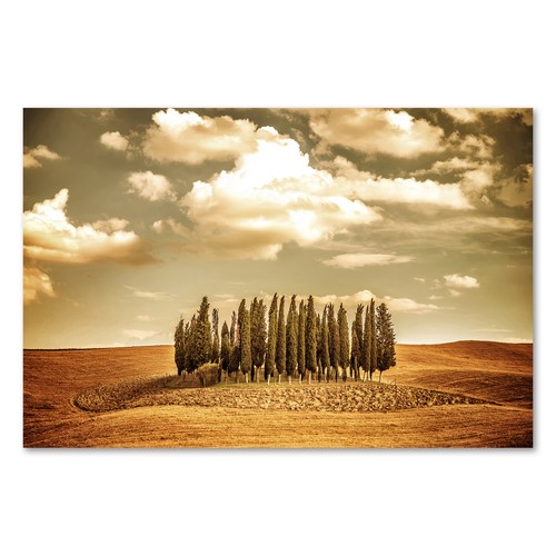 Postereck 1305 poster - postereck,