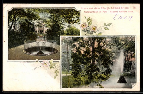 Artern goldfischteich - artern, i.