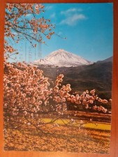 Postkarte 2610 gelaufen, Teneriffa, Spanien, Sammlung, Ansichtskarte