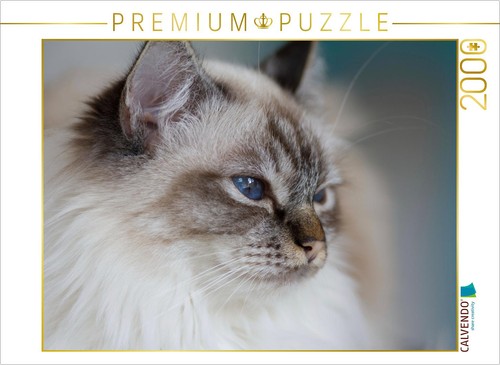Calvendo puzzle heilige birma - calvendo,