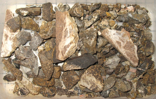 Jurassic morrison formation - jurassic,