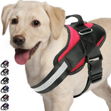 Hundegeschirr, Brustgeschirr