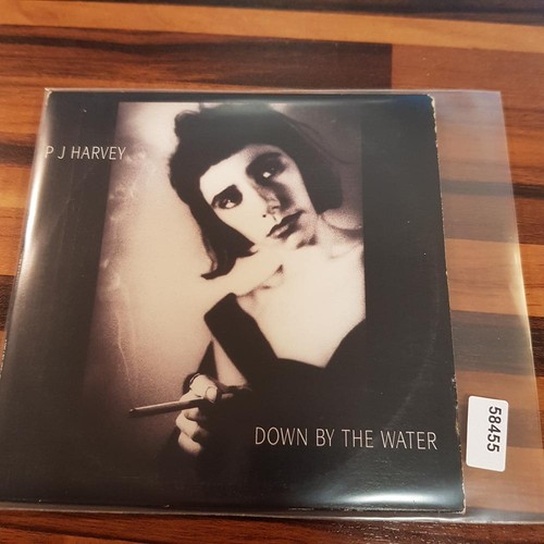 Harvey down by the water - harvey,