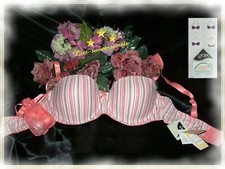 #356 | Multiway BH - Push up -