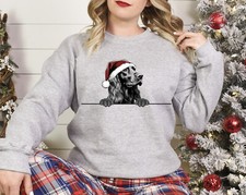 Weihnachtspullover Gordon