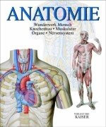 Anatomie wunderwerk mensch - anatomie.,