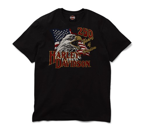 Harley davidson 250th liberty - davidson,
