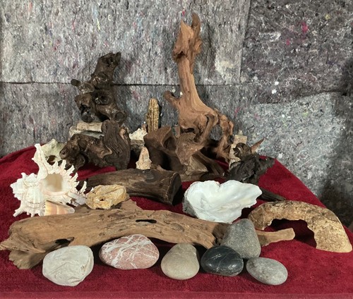 Aquarium terrarium wurzel - aquarium,