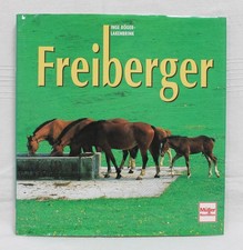 Freiberger Pferde