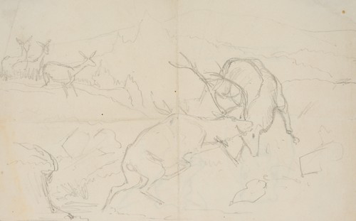 Deiker - deiker, (1836-1892)