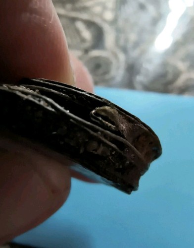 1682 münzklumpen schiffswrack - 1682,