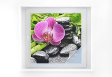 Sichtschutzfolie Spa Concept -