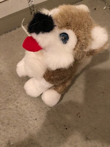 Plüschtier stofftier husky - plüschtier,