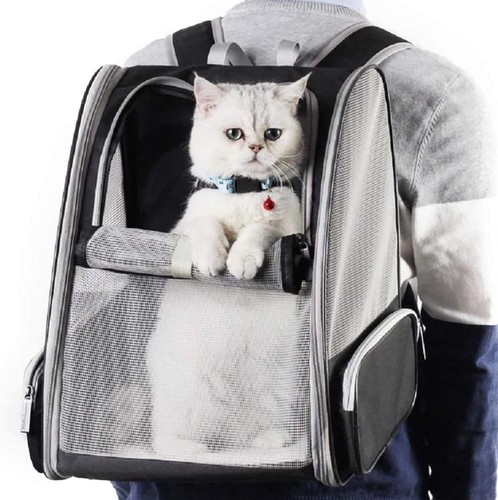 Haustiere rucksack - haustiere,