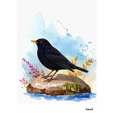 Postkarte Vogel. Amsel. Natur