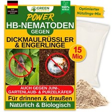 HB-Nematoden gegen