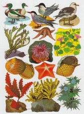 Glanzbilder: Lebewesen und Pflanzen des Meeres, Nr. 1241, kompletter Bogen, DDR