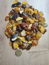 Bernstein Getrommelt Konvolut